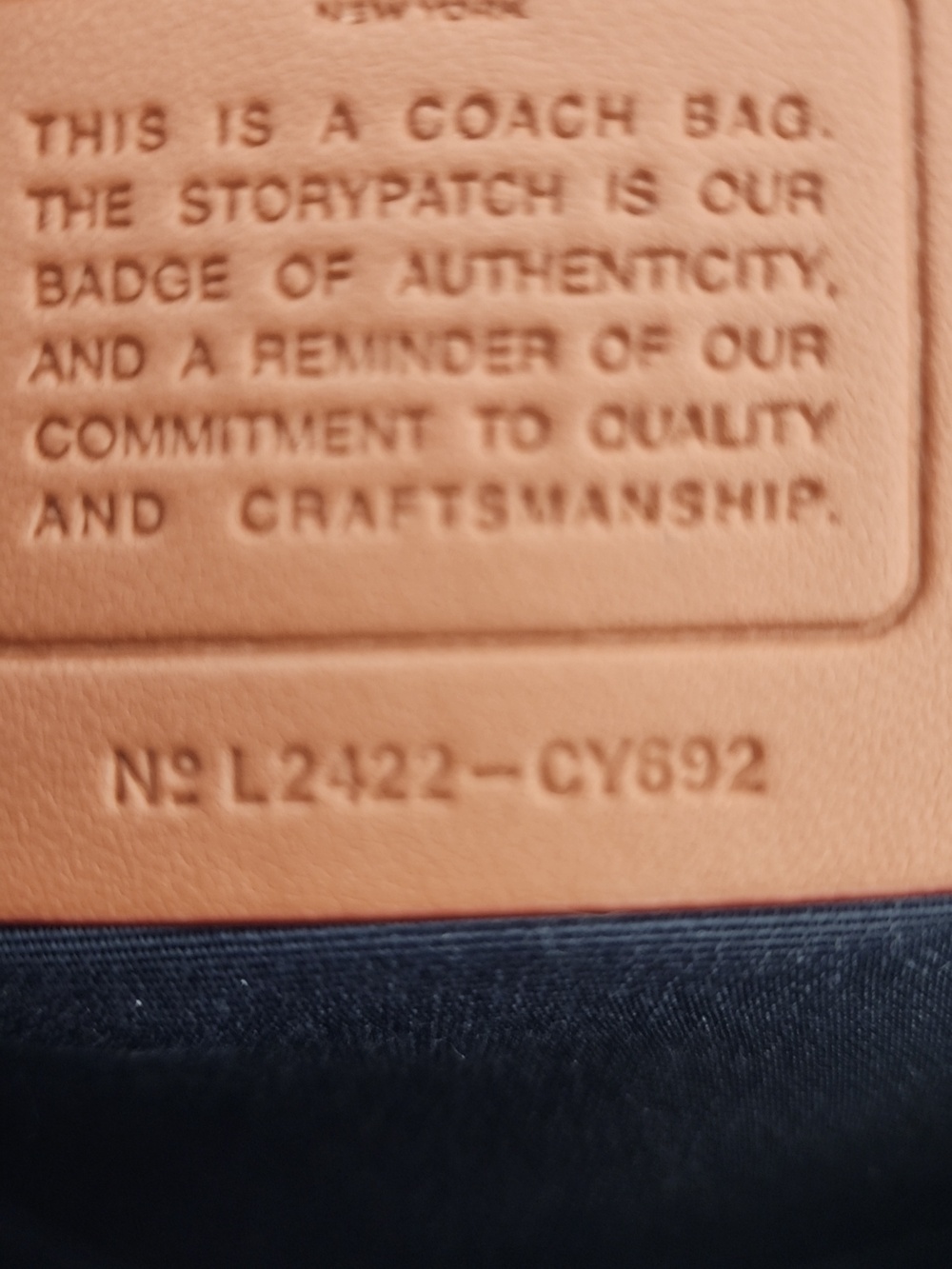 Coach Denim Signature Cherry Print Satchel - Picture 2 of 6